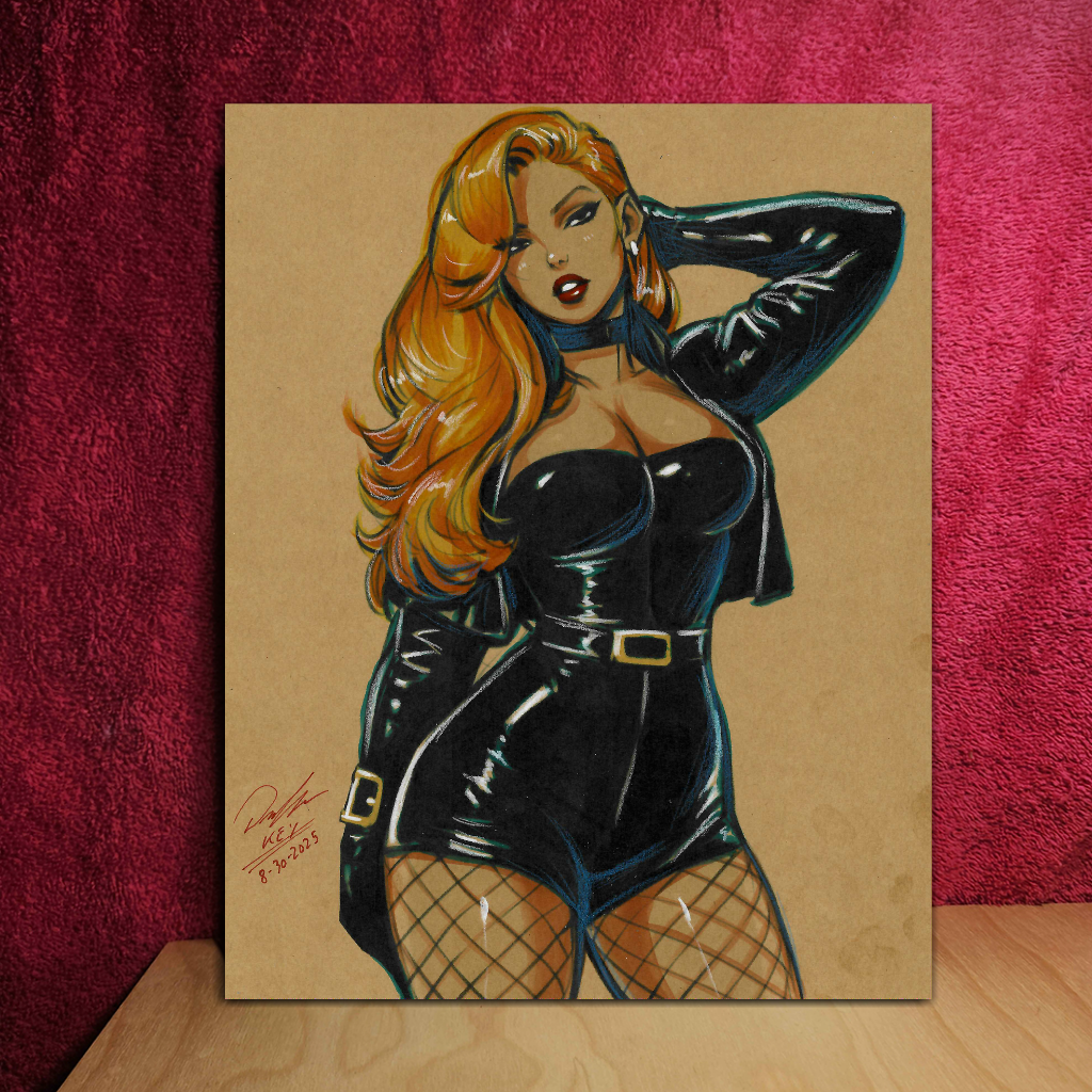 Black Canary Art Illustration Hard Signed 8.5x11in Fine Art PRINT