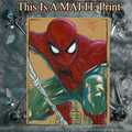Spider-Man Art Illustration Hard Signed 8.5x11in Fine Art PRINT