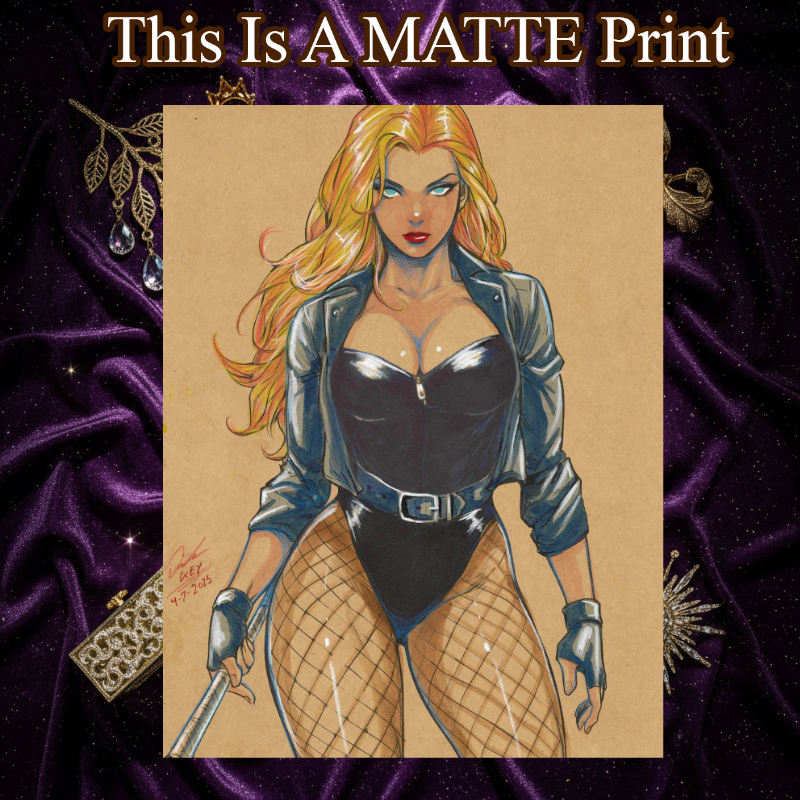 Black Canary Art Illustration Hard Signed 8.5x11in Fine Art PRINT