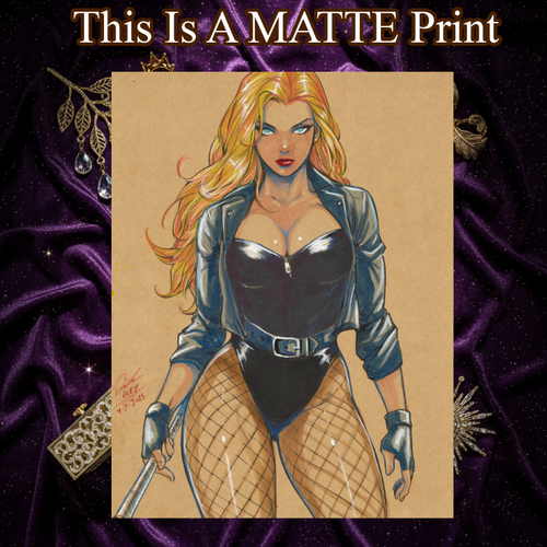 Black Canary Art Illustration Hard Signed 8.5x11in Fine Art PRINT