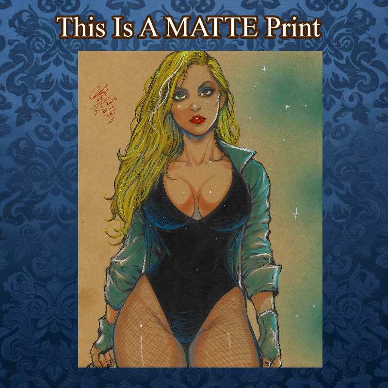 Black Canary Art Illustration Hard Signed 8.5x11in Fine Art PRINT