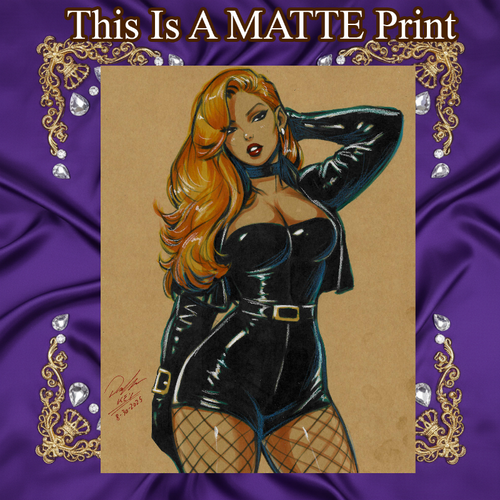 Black Canary Art Illustration Hard Signed 8.5x11in Fine Art PRINT