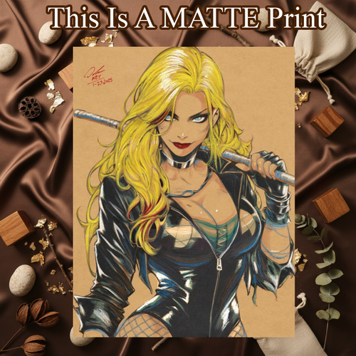 Black Canary Art Illustration Hard Signed 8.5x11in Fine Art PRINT