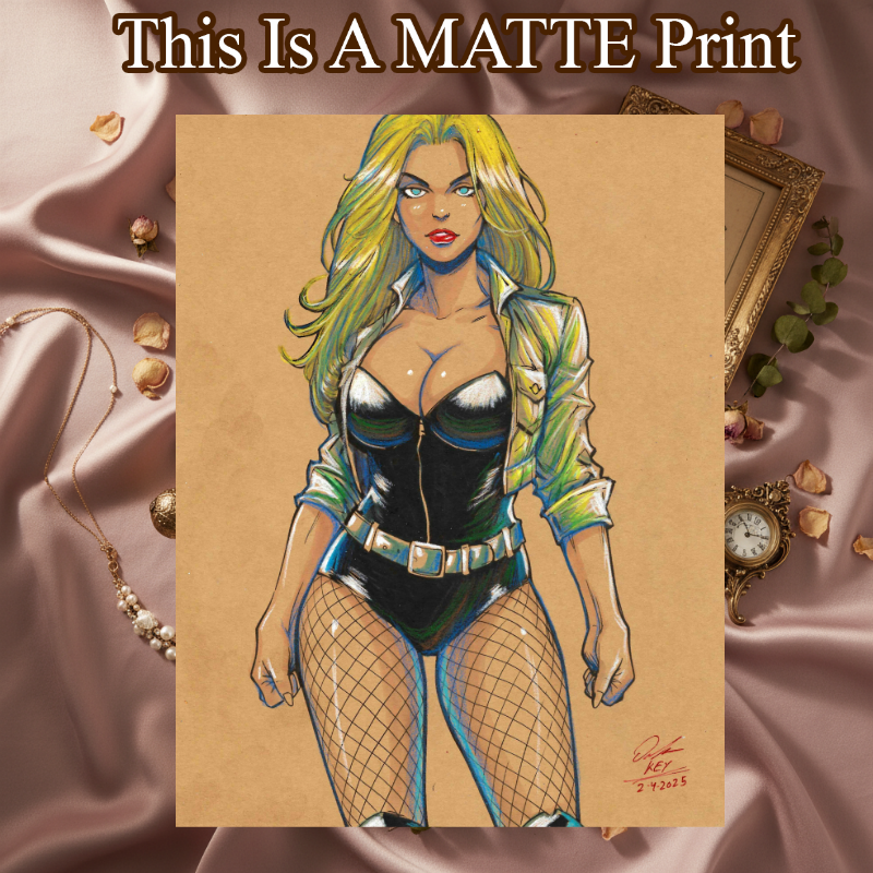 Black Canary Art Illustration Hard Signed 8.5x11in Fine Art PRINT
