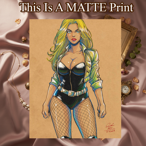 Black Canary Art Illustration Hard Signed 8.5x11in Fine Art PRINT