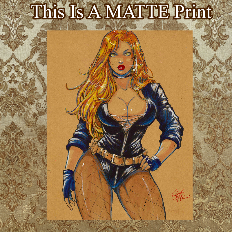 Black Canary Art Illustration Hard Signed 8.5x11in Fine Art PRINT