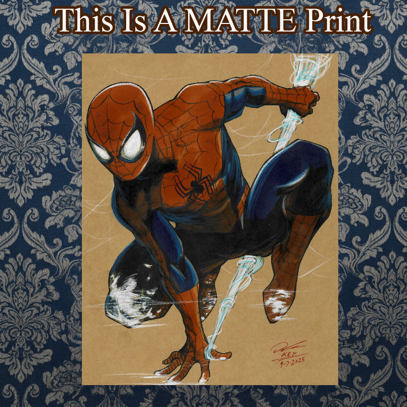 Spider-Man Art Illustration Hard Signed 8.5x11in Fine Art PRINT
