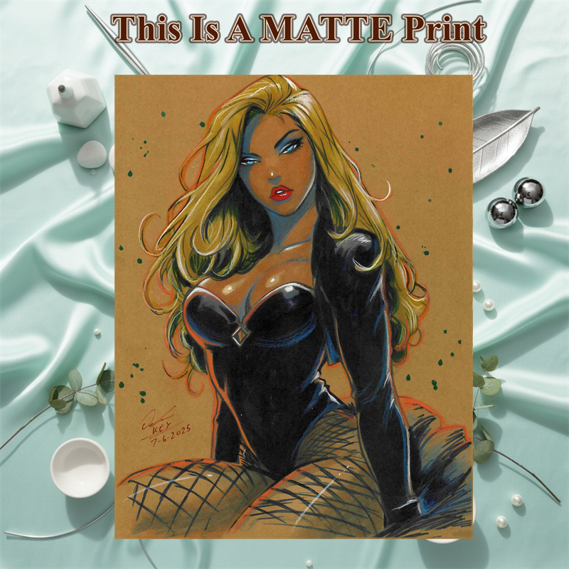 Black Canary Art Illustration Hard Signed 8.5x11in Fine Art PRINT
