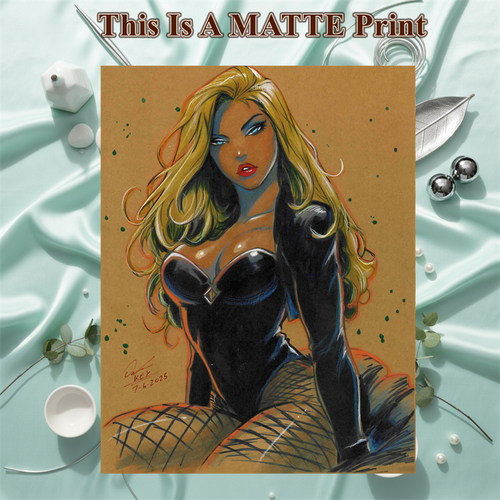 Black Canary Art Illustration Hard Signed 8.5x11in Fine Art PRINT