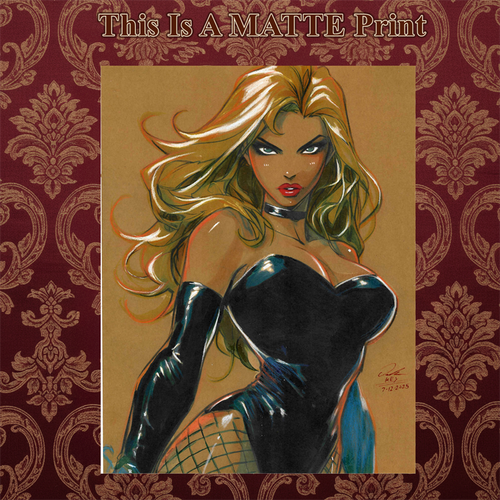 Black Canary Art Illustration Hard Signed 8.5x11in Fine Art PRINT