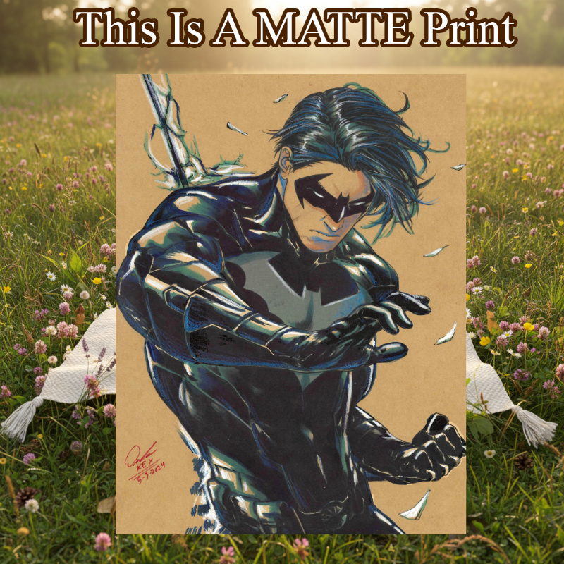 Nightwing Art Illustration Hard Signed 8.5x11in Fine Art PRINT