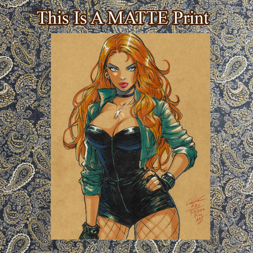 Black Canary Art Illustration Hard Signed 8.5x11in Fine Art PRINT