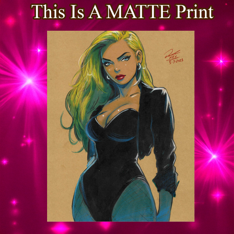 Black Canary Art Illustration Hard Signed 8.5x11in Fine Art PRINT