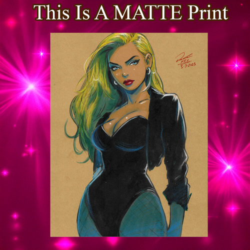 Black Canary Art Illustration Hard Signed 8.5x11in Fine Art PRINT