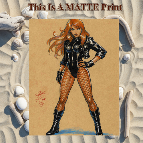 Black Canary Art Illustration Hard Signed 8.5x11in Fine Art PRINT