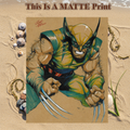 Wolverine Art Illustration Hard Signed 8.5x11in Fine Art PRINT
