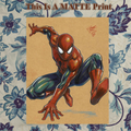 Spider-Man Art Illustration Hard Signed 8.5x11in Fine Art PRINT