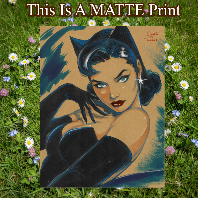 Catwoman Art Illustration Hard Signed 8.5x11in Fine Art PRINT