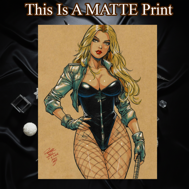 Black Canary Art Illustration Hard Signed 8.5x11in Fine Art PRINT