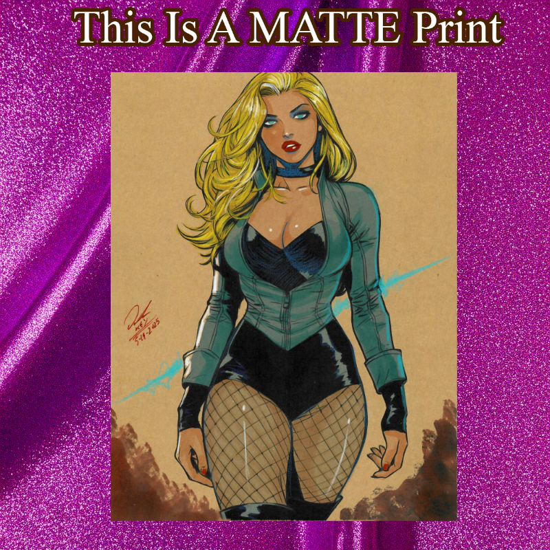 Black Canary Art Illustration Hard Signed 8.5x11in Fine Art PRINT