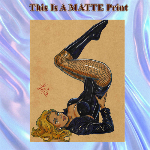 Black Canary Art Illustration Hard Signed 8.5x11in Fine Art PRINT