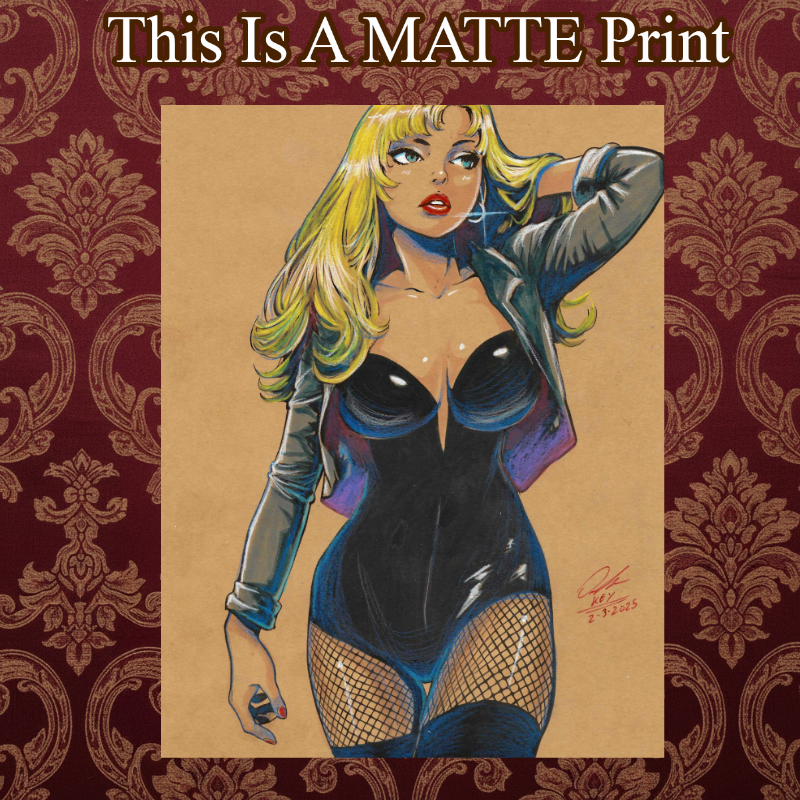 Black Canary Art Illustration Hard Signed 8.5x11in Fine Art PRINT