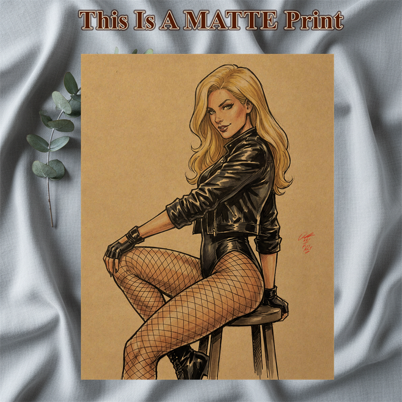 Black Canary Art Illustration Hard Signed 8.5x11in Fine Art PRINT
