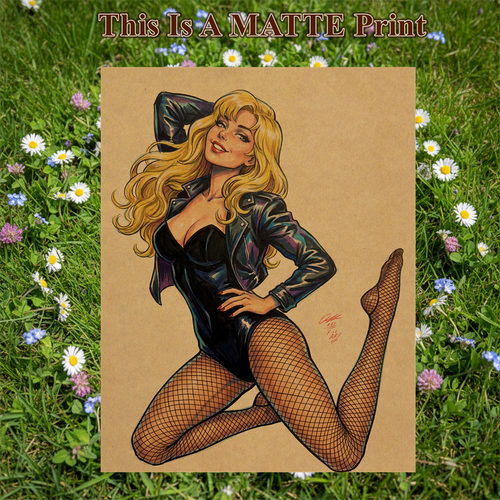 Black Canary Art Illustration Hard Signed 8.5x11in Fine Art PRINT