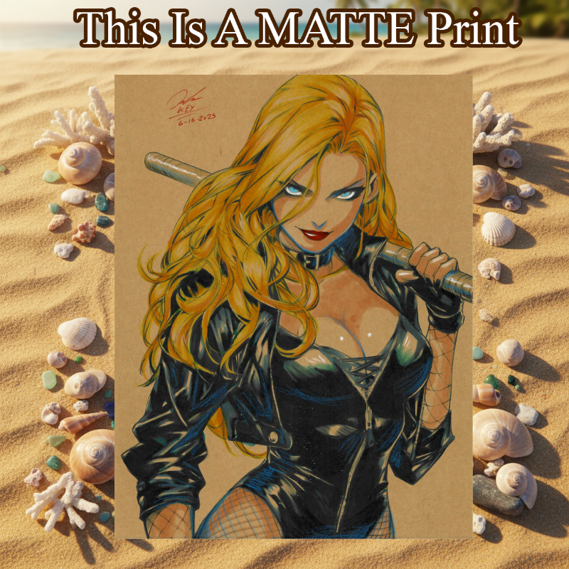 Black Canary Art Illustration Hard Signed 8.5x11in Fine Art PRINT