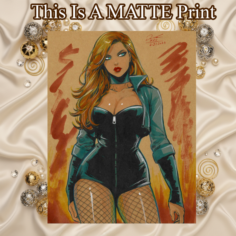Black Canary Art Illustration Hard Signed 8.5x11in Fine Art PRINT