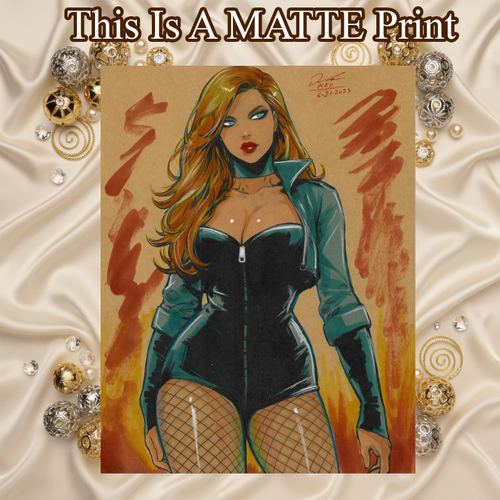 Black Canary Art Illustration Hard Signed 8.5x11in Fine Art PRINT